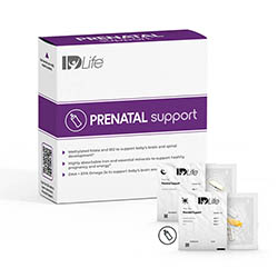 Prenatal Support